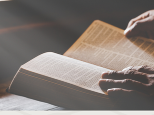 Leitura Biblica Devocional