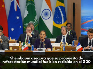 Sheinbaum asegura que su propuesta de reforestación mundial fue bien recibida en el G20