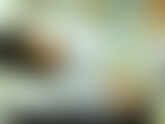 Influenza cobra su primera víctima en Tamaulipas antes del inicio de los frentes fríos