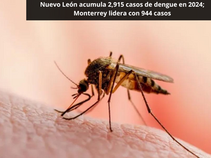 Nuevo León acumula 2,915 casos de dengue en 2024; Monterrey lidera con 944 casos