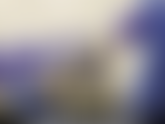 Aumento de Casos de Virus Oropouche en las Américas: ¿Una Nueva Amenaza para la Salud Pública?