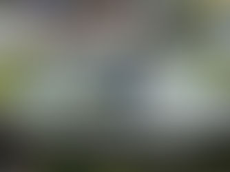 "La Minerva" desaparece en Guadalajara, pero todo era una estrategia publicitaria