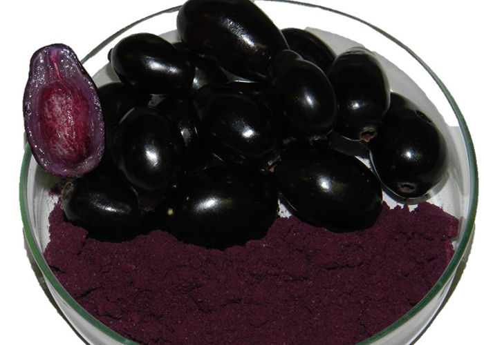 Cientistas desenvolvem corantes naturais de frutas tropicais encontradas em abundância no Brasil