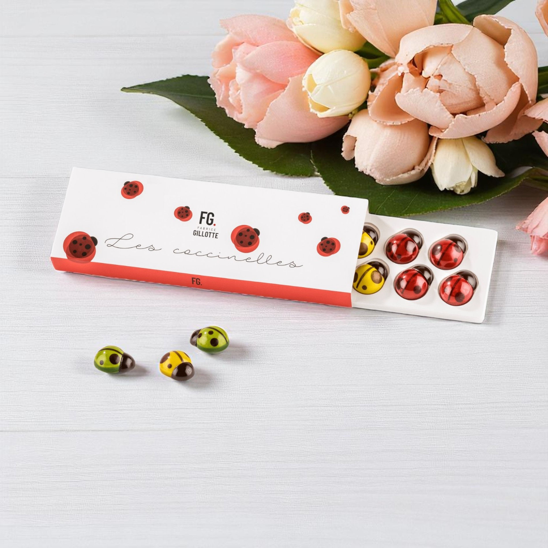 Coffret "Coccinelles" Fabrice Gillotte