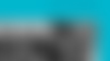 Brève histoire de l'Holocauste