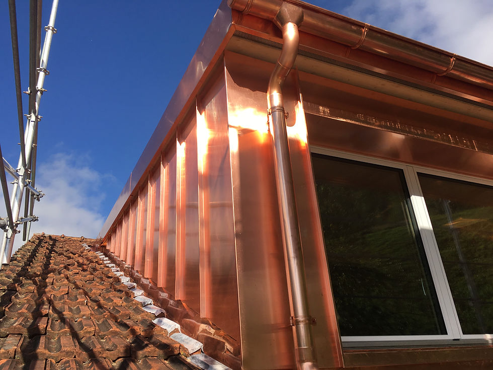 Furrer Markus, Silenen