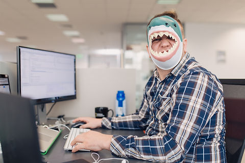 fun shark.jpeg