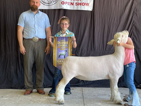 Crawford County Open Show