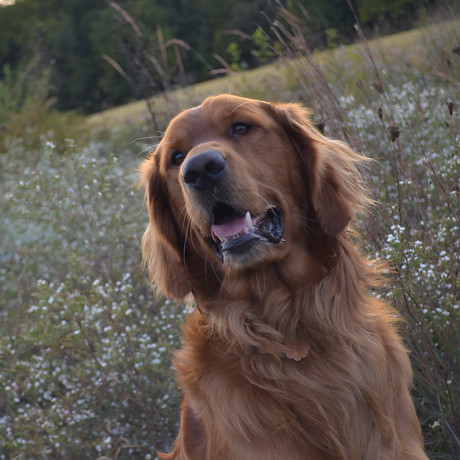 DSC_0110.JPG