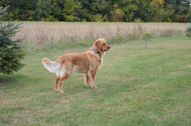 DSC_0449.JPG