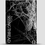 Thumbnail: Seeing Thread by Bran Crow