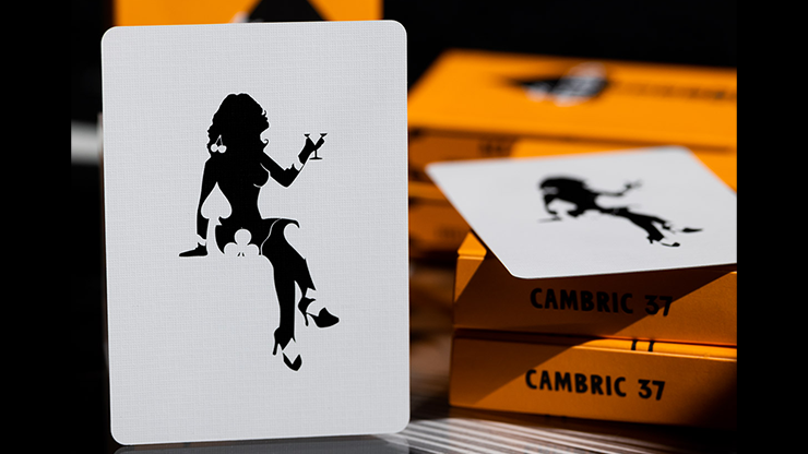 Thumbnail: ACE FULTON'S CASINO V3 PLAYING CARDS