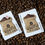 Thumbnail: Roasters Coffee Shop Playing Cards (GV $2)