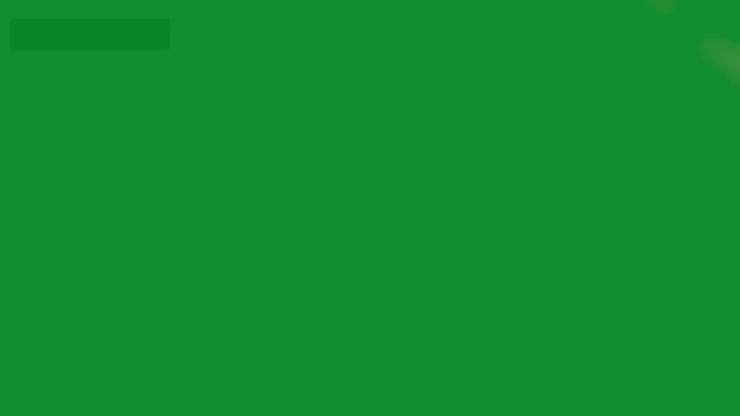Thumbnail: THE MAGIC FROG by Magic and Trick Defma (GV $11)