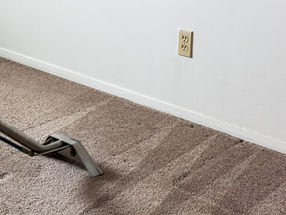 The Science of Carpet Cleaning: Hot Water Extraction vs. Very Low Moisture Methods