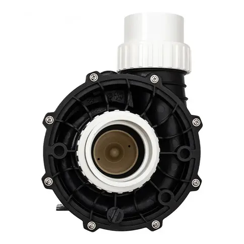 LX 56 frame spa pump showing the front intake