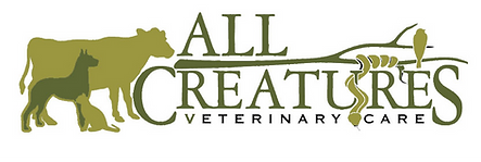 All creatures vet care sponsors Livestock day