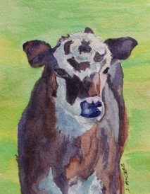 Bullseye Calf, watercolor, 4" x 6", $100.