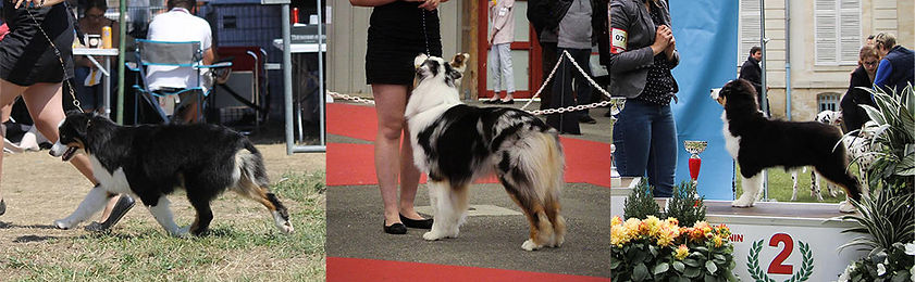 1572636259-banniere34jpg.jpg