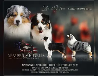 1748943561-reso-montage-zou-silver.jpg