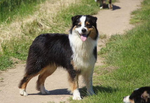 d63d11ad-3285-5694-69f9-746378d74be5_min (1).jpg