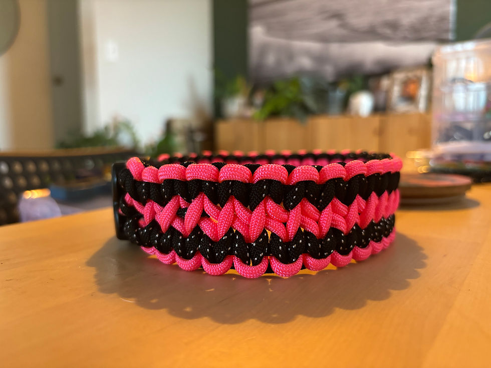 paracord handmade pet collar