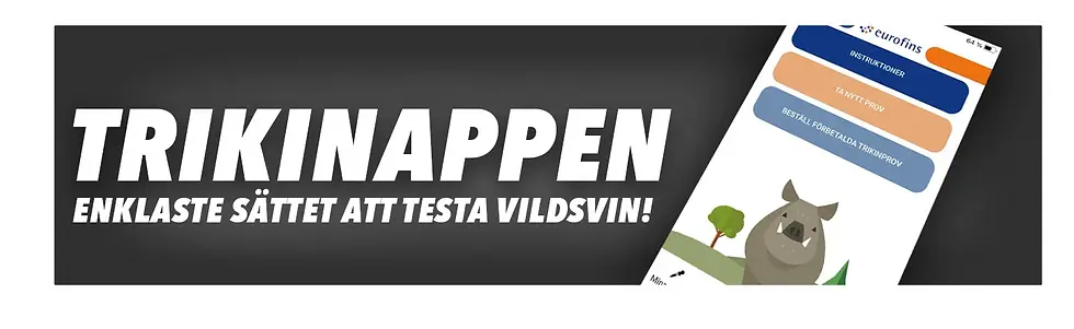 trikininappen - Enklaste sättet att testa vildsvin