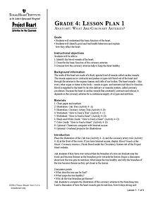 Sample lesson plan for Project Heart