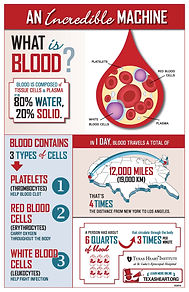 What is Blood? infographic