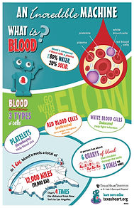 What is Blood? infographic for kids