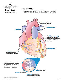 Sample lesson plan for Project Heart (grade 4)