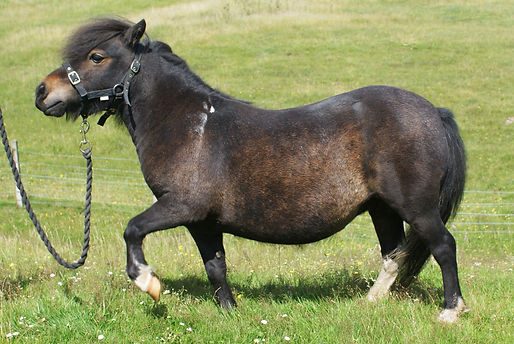 Belle 03.jpg