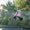 Miniature : Skateboard Pour Trampoline ACON