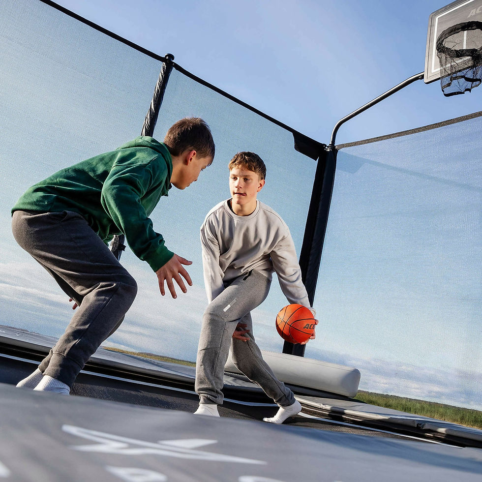 Miniature : Panier de basket ACON X