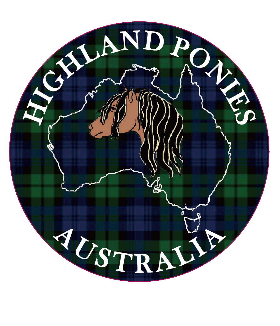 Highland+Ponies+Australia.gif