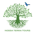image (1).png