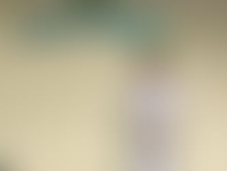 Apresentação trabalho de Opee - Profissões