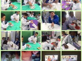 Laboratório - Moléculas da Água