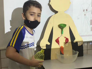 Ciências - Sistema Urinário