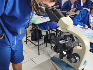 Observação do mundo microscópico. Lâmina de células de cebola