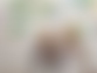 Semana de conscientização do Meio Ambiente