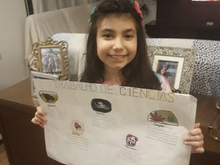 Trabalho de Ciências