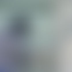 ¿En qué se diferencia el robo de la entrada ilegal?