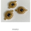 Thumbnail: DIY KIT - 'Nalda'