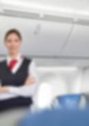 Cabin Crew w.png