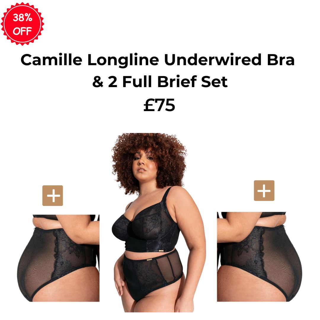 Camille Long-Line Underwire Bra, 2X Full Brief Set NJLU2B