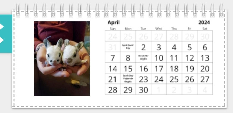 Thumbnail: Calendars