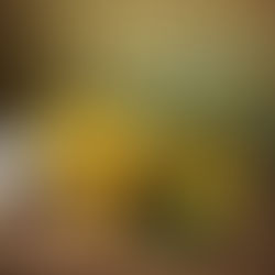 "Exploring the Health Benefits of Lemons Essential Oils: From Aromatherapy to Wellness"