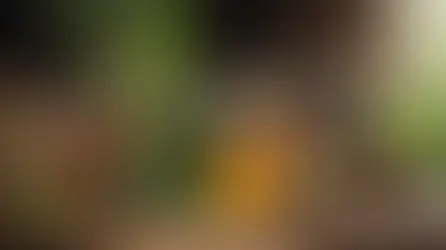 Unveiling the Power of Herbal Elixirs: Crafting Plant-Powered Drinks for Optimal Wellness and Vitality