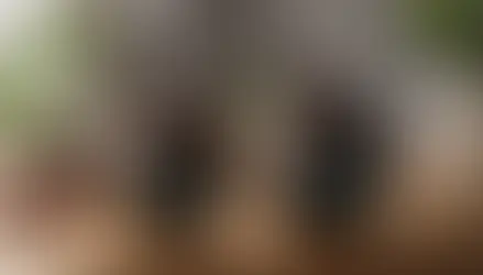 How Thieves Essential Oil Blend Supports Your Kids' Wellness in School